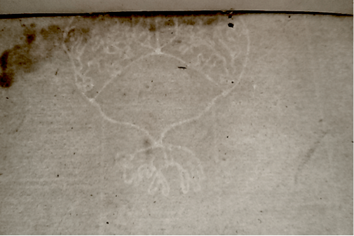 Manuscripti Indici 2