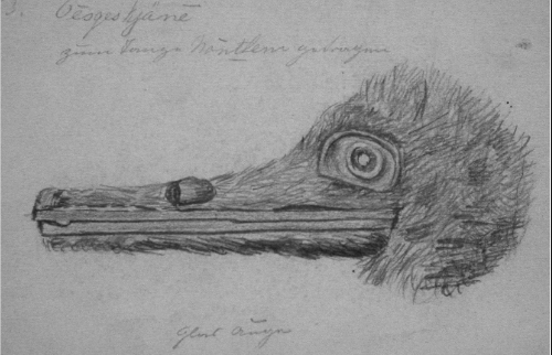 capture-decran-2017-02-16-a-12-53-17