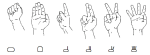 HamNoSys base hand shapes